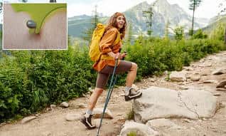 Tick-Borne Diseases: Testing and Prevention During Peak Season